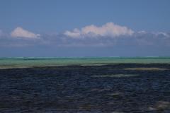 IMG_5484