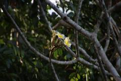 IMG_5513