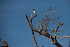 IMG_5580