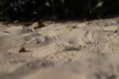 IMG_5600