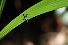 IMG_5691
