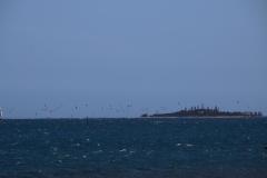 IMG_6069