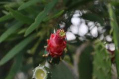 IMG_6308