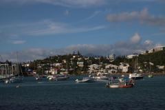 IMG_6351