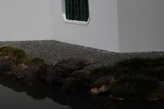 IMG_2604