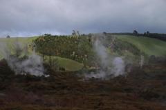 IMG_2766
