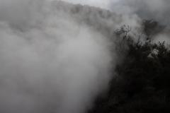 IMG_2861