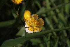 IMG_3241