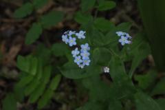 IMG_3819
