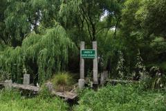 IMG_3845