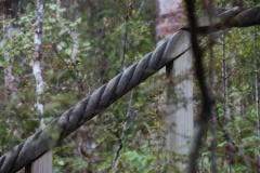IMG_3909