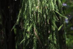 IMG_3957