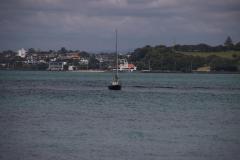 IMG_4045