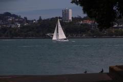 IMG_4051