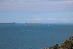IMG_4111