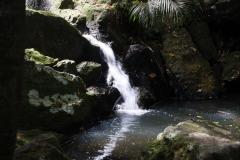 IMG_4554