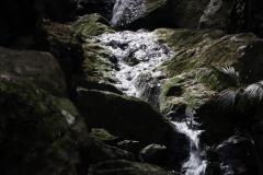 IMG_4581