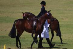 IMG_3565-1024x768-1