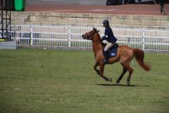 IMG_3643-1024x768-1