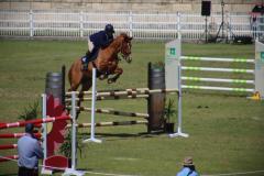 IMG_3655-1024x768-1
