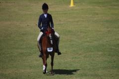 IMG_3694-1024x768-1