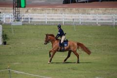 IMG_3756-1024x768-1