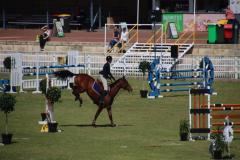 IMG_3864-1024x768-1