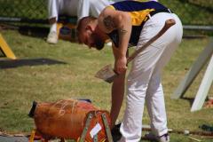 IMG_4039-1024x768-1