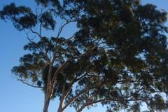 2019-05-17-16.46.45-1024x1820