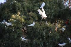 IMG_4377-1024x682