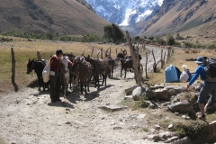 20090627-014356IMG_1455PERU2009