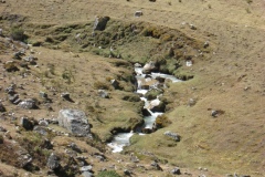 20090627-021148IMG_1462PERU2009