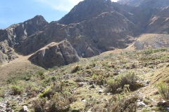 20090627-023224IMG_1468PERU2009