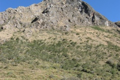 20090628-223646IMG_1571PERU2009