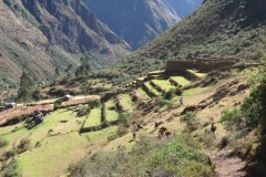 20090628-234430IMG_1583PERU2009