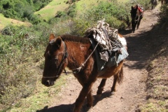 20090628-234520IMG_1586PERU2009