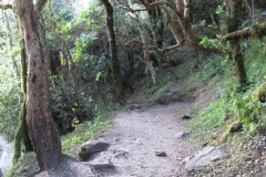 20090629-052312IMG_1594PERU2009