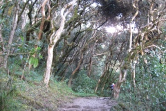 20090629-052326IMG_1595PERU2009