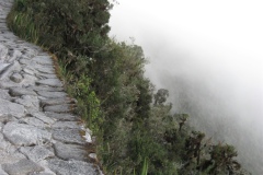 20090630-065624IMG_1690PERU2009