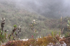 20090630-070230IMG_1692PERU2009