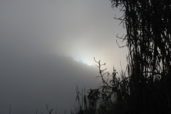 20090630-070354IMG_1693PERU2009