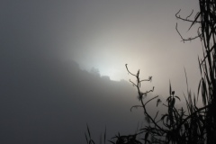 20090630-070406IMG_1695PERU2009