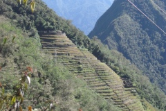 20090630-234208IMG_1708PERU2009