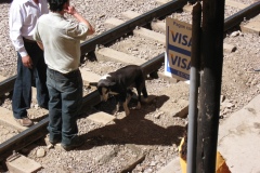 20090702-024950IMG_1857PERU2009