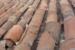 20090623-230848IMG_1225PERU2009