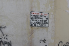 20090623-231020IMG_1228PERU2009