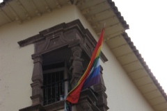 20090623-231218IMG_1231PERU2009