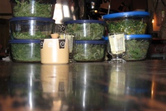 20090625-034652IMG_1338PERU2009