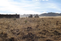 20090626-052136IMG_1388PERU2009