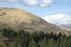 20090626-053318IMG_1400PERU2009